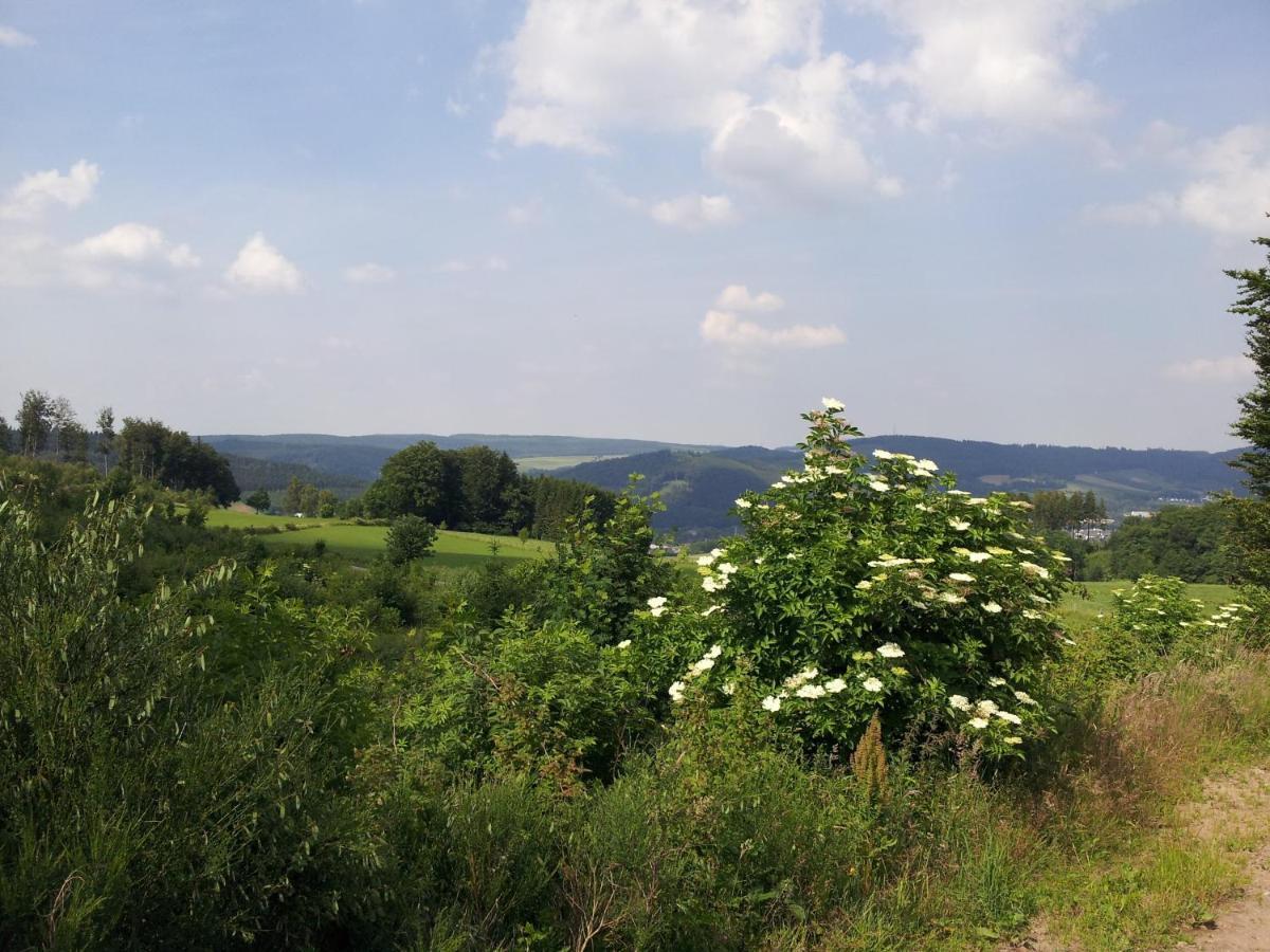Hotel Bigger Hof - Wirtshaus Platzhirsch Am Jahnplatz Olsberg Bagian luar foto
